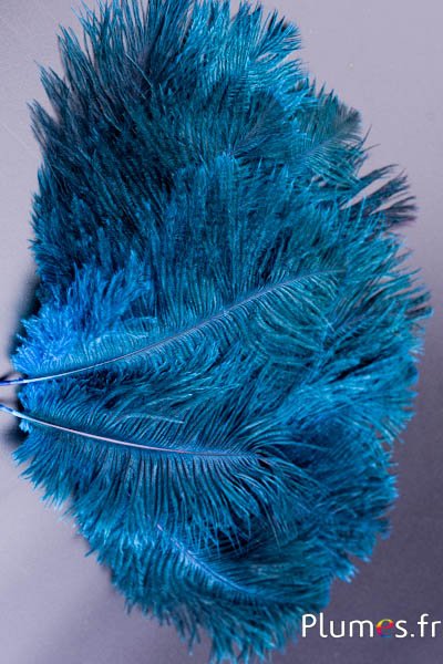 Autruche - 13-18 cm - turquoise-gris